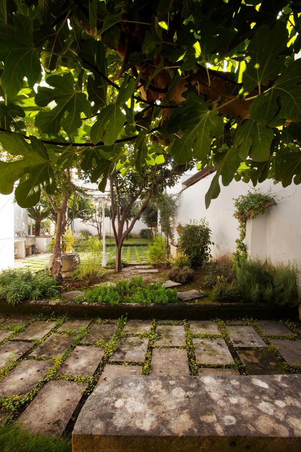 La Naca Della Taranta B&B Galatina Εξωτερικό φωτογραφία